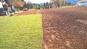 WP_20151129_12_43_13_Pro-1