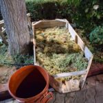 FB_IMG_1757321969992